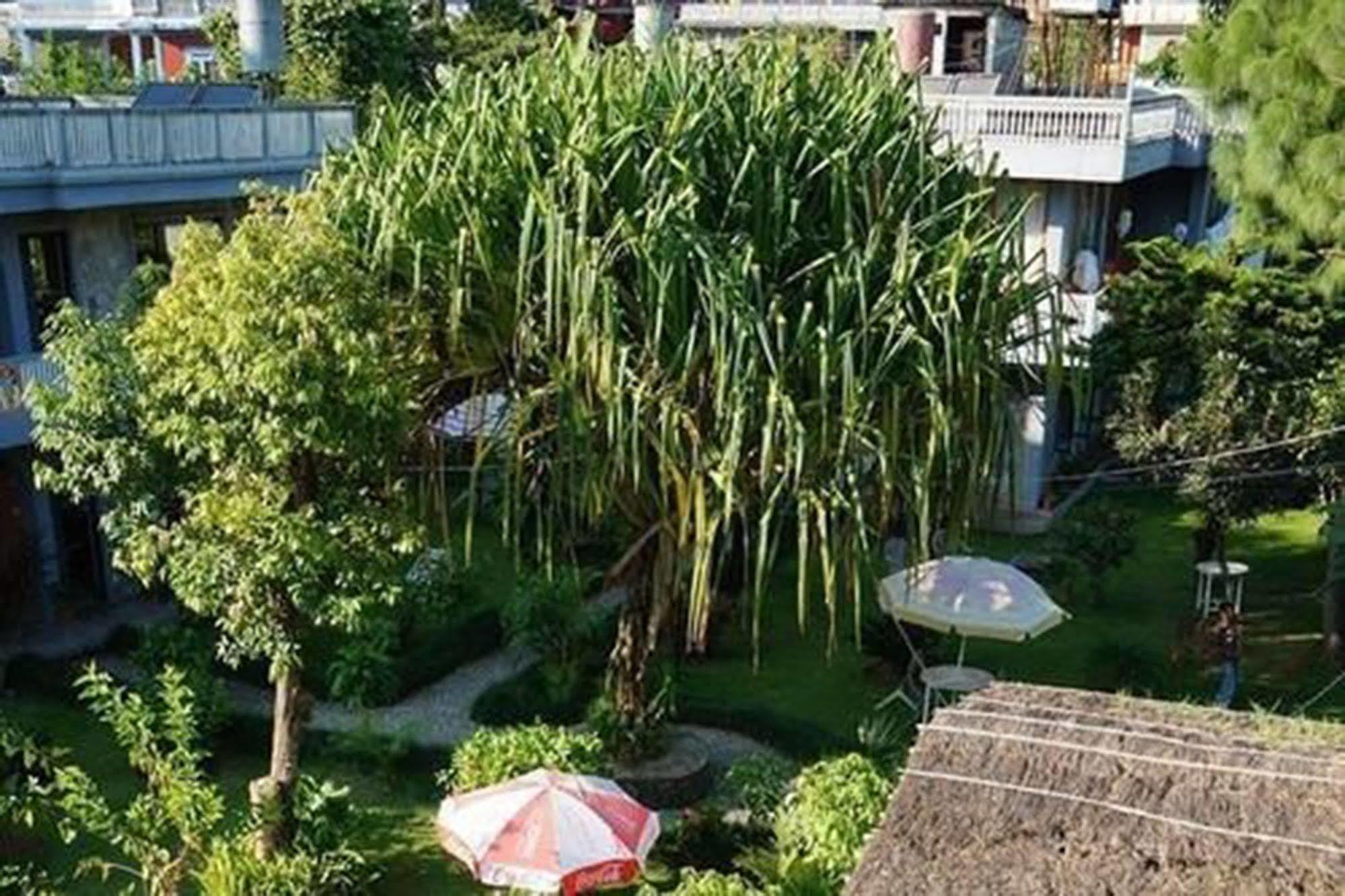 Hotel Mandala Похара Екстериор снимка